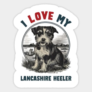 I love my Lancashire Heeler Sticker